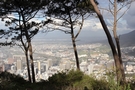 Suedafrika_2 (85b).JPG